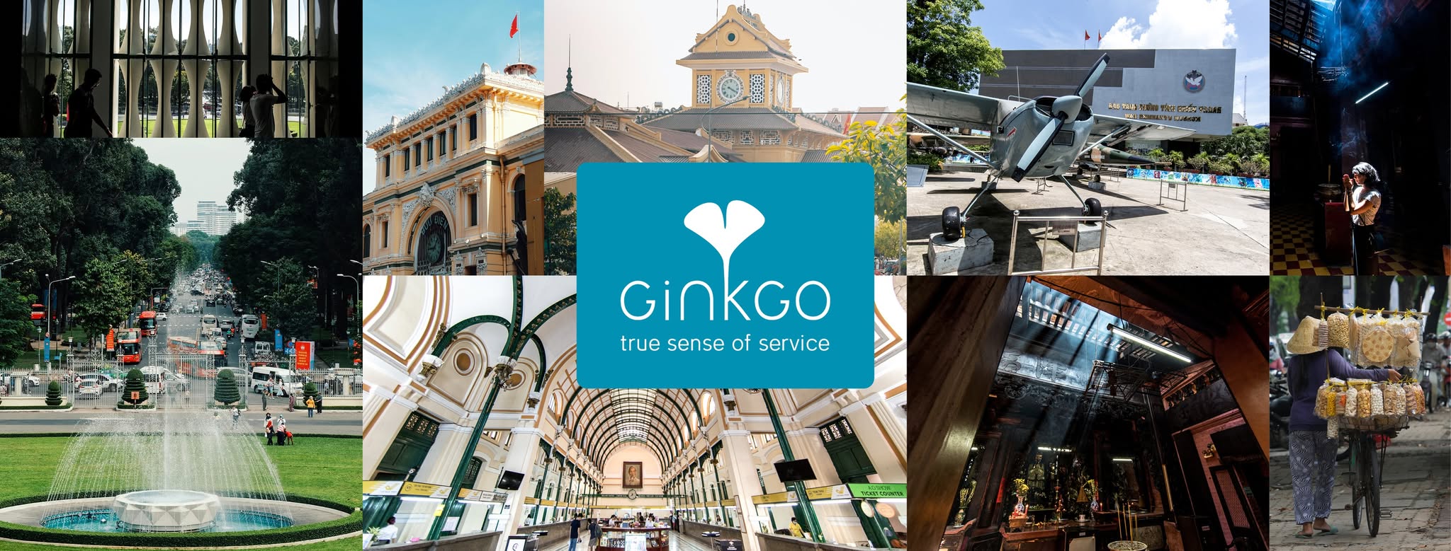 Ginkgo Voyage
